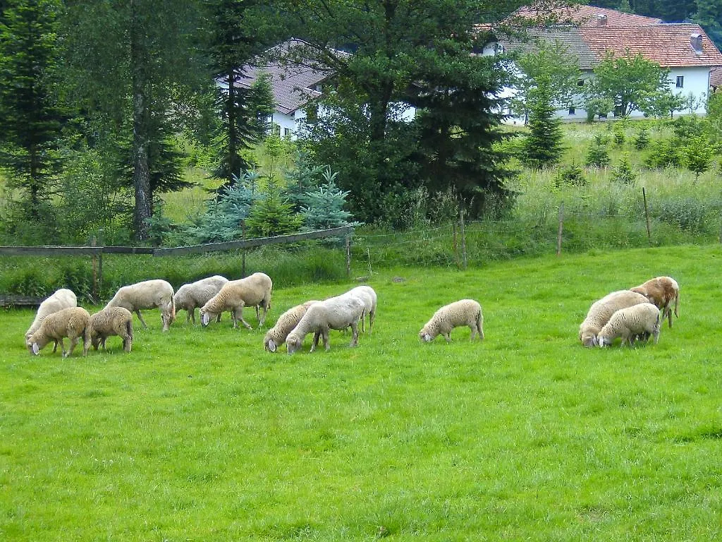 Pension Reindlhöh Lohberg